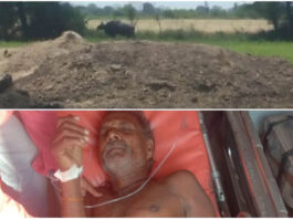 buffalo_attack_narsinghpur