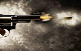 gun