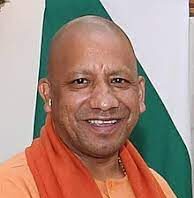 yogi