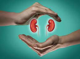 Can kidney failure be caused by stones, know what experts say