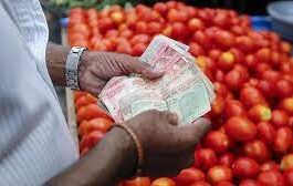 Tomatoes will be supplied from retail shops at subsidized rates: Government