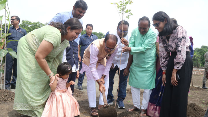 Chief Minister Shivraj Singh planted saplings