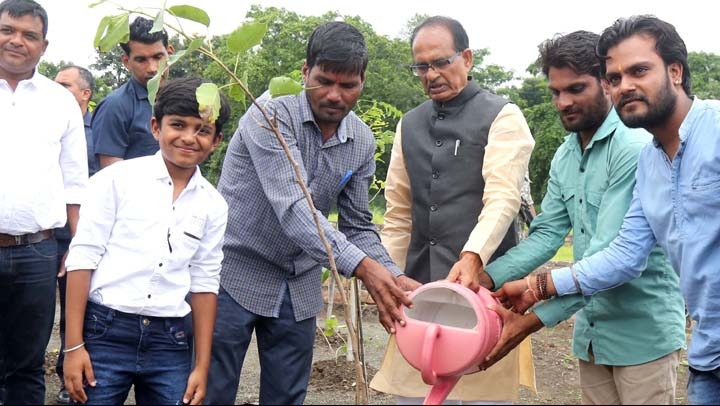 Chief Minister Shivraj Singh planted saplings of Peepal, Jamun and Gulmohar