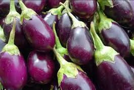 Brinjal should not be eaten