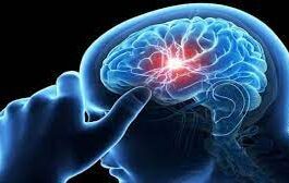 Infection can also occur in the brain,