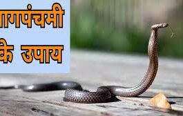 Nag Panchami on August 22, do not do this work if there is Kalsarp Dosha in the horoscope