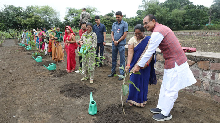 About 100 dear sisters of Bhopal planted saplings along with Chief Minister Shivraj Singh