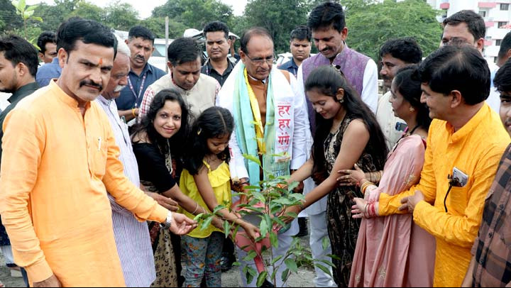 planted Neem, Maulshri and Gular saplings