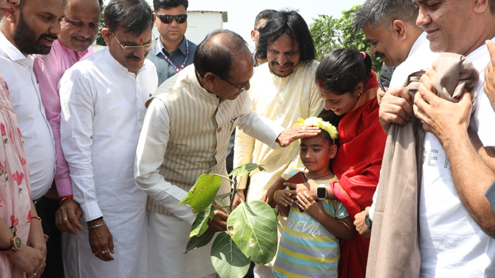 Banyan, Neem and Maulshri