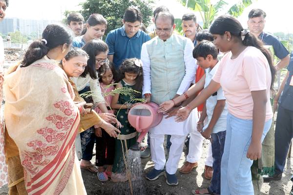 planted saplings of