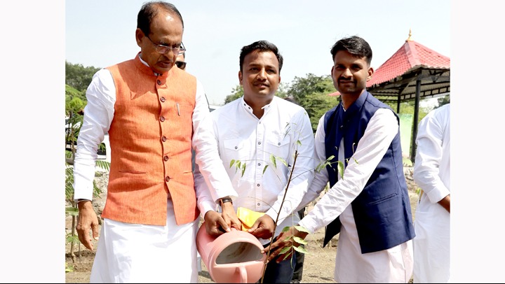 representatives planted sapling