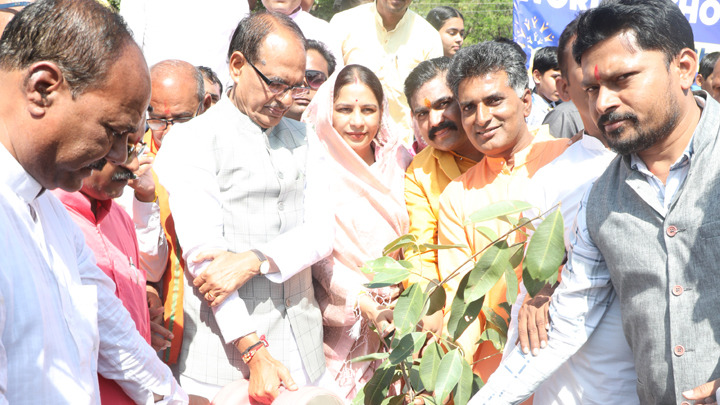 saplings along with members of social