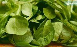 Consume spinach in winter