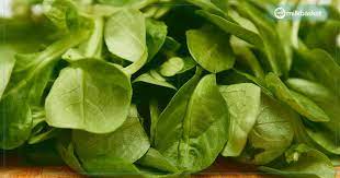 Consume spinach in winter