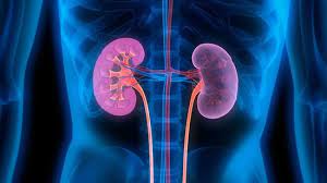 Kidneys get adversely affected