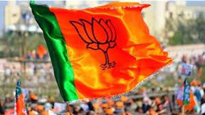 BJP will avoid fielding very old faces in Lok Sabha