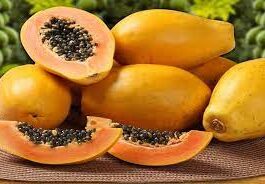 people should not eat papaya