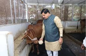 mohan