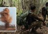IED ब्लास्ट में 3 जवान शहीद, कांकेर-नारायणपुर बॉर्डर पर ऑपरेशन के दौरान बड़ा हादसा