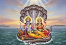 अपरा एकादशी पर करें ये खास मंत्र जाप, राशि अनुसार मिलेगा अपार धन और सुख