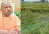 मुख्यमंत्री योगी आदित्यनाथ ने मौसम की अनिश्चितता के मद्देनजर कृषि व संबंधित विभागों को बीमा कवरेज बढ़ाने के निर्देश दिए
