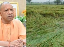 मुख्यमंत्री योगी आदित्यनाथ ने मौसम की अनिश्चितता के मद्देनजर कृषि व संबंधित विभागों को बीमा कवरेज बढ़ाने के निर्देश दिए