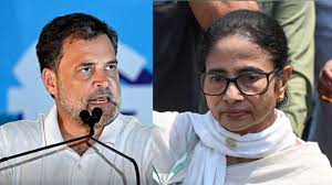 mamta