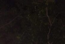 फांसी के फंदे पर लटके युवक की समय रहते बचाई जान