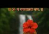 नौकरी की तलाश हो या करियर की रुकावट, बप्पा का यह ‘गणेश स्तोत्र’ हर मुश्किल का अचूक समाधान