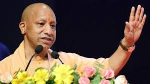 yogi