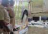 Crime News: कोलार रोड की ई-लाइब्रेरी में चोरी: उद्घाटन से पहले कंप्यूटर समेत करीब 1 लाख का सामान पार