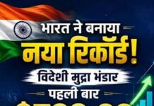 भारत की आर्थिक ताकत बढ़ी, विदेशी मुद्रा भंडार रिकॉर्ड 729.33 अरब डॉलर पर