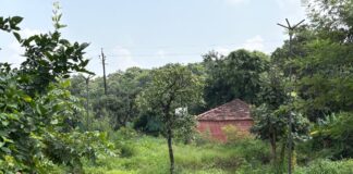 तालाब की जमीन पर सड़क और प्लॉटिंग! NGT सर्वे में सामने आया केरवा-कलियासोत का चौंकाने वाला खुलासा