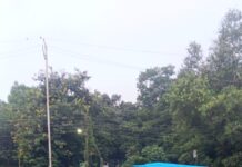 5 नंबर बस स्टॉप के रविशंकर शुक्ल मार्केट री-डेवलपमेंट पर सवाल, नाले और ग्रीन बेल्ट में भराव का आरोप