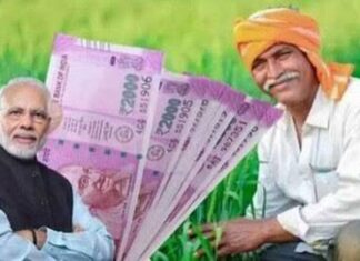 PM-KMY के 7 साल पूरे: किसानों को 60 साल बाद ₹3,000 Pension, जानिए पात्रता