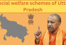 UP Social Welfare Schemes 2026: पेंशन, छात्रवृत्ति, कन्या सुमंगला और विवाह सहायता समेत सभी प्रमुख योजनाओं की जानकारी UP Social Welfare Schemes 2026