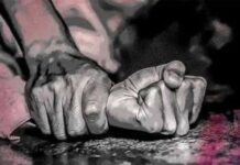 दिल्ली में 16 साल की लड़की की दर्दनाक हत्या, खेत में मिला शव; कुत्तों ने नोचा, 3 नाबालिग समेत 4 गिरफ्तार