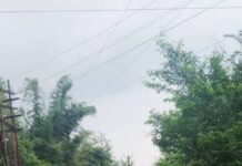 भोपाल मास्टर प्लान-2047 में बाघों के रास्ते पर फिर सड़क, NTCA की पुरानी चिंता के बीच उठे सवाल