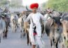 गुजरात में मालधारी परिवारों के पुनर्वास की नई योजना: ₹15 लाख सहायता, 100 वर्ग गज प्लॉट और पशुधन के लिए भी प्रावधान maaldhari-family